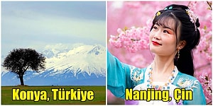 Baharın Gelişiyle İçinizde Çiçekler Açtıracak Dünya Çapında 22 Fotoğraf