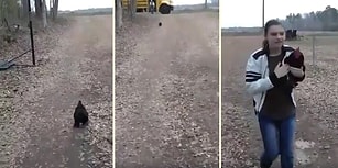 İnsan Dostunun Okul Servisini Her Gün Bekleyen ve Servis Geldiğinde Dostuna Koşarak Sarılan Horoz