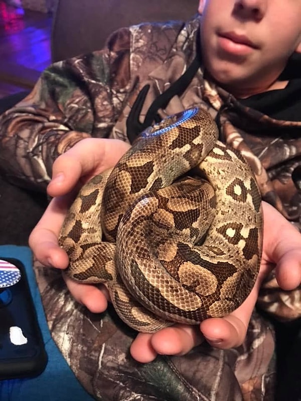 8. Или к таким :)