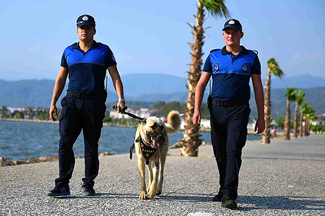 Saatcı'dan Halkın Takdirini Kazanan 10 Hareket 2 Muğla’da sahibi tarafından otomobilinin arkasına iple bağlanarak asfaltta sürüklenen kangal cinsi köpeğin görüntüleri hayvanseverlerin kalbinde derin bir yara açtı. Ölümle burun buruna gelen köpeği, kurduğu Fethiye Hayvan Bakım Merkezi’nde tedavi ettirdi.