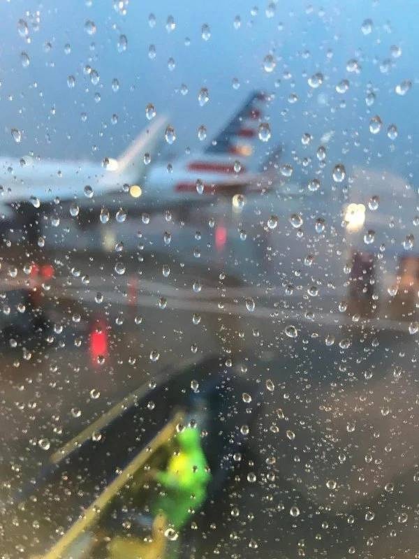 11. Совпадения - они везде. Эта зеленая штука за стеклом в сочетании с каплями воды похожа на лягушонка Кермит