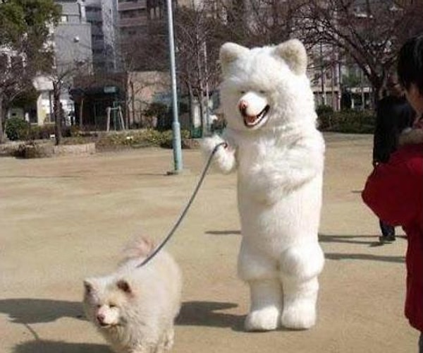 10. Такое могли заснять только в...