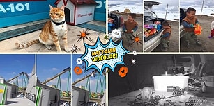 Geçtiğimiz Haftanın Mutlaka İzlemeniz Gereken 10 Videosu
