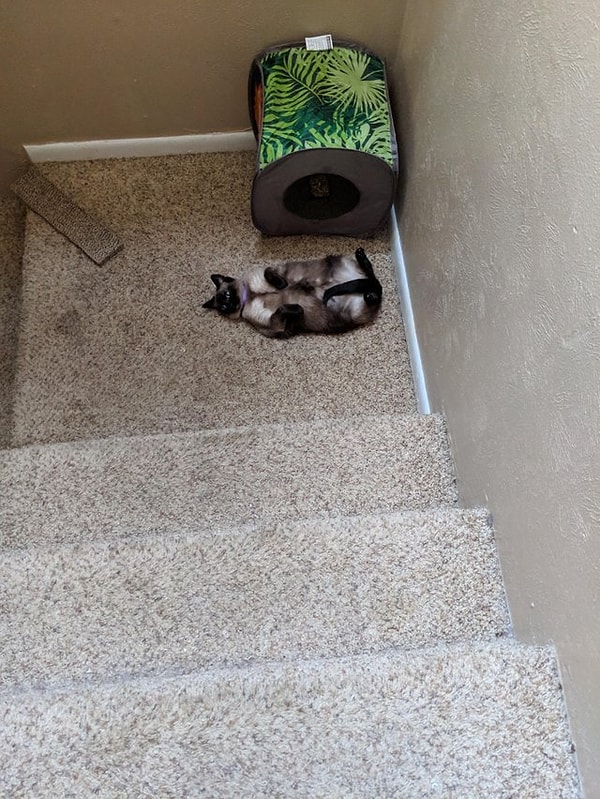 9. Он кого-то изображает