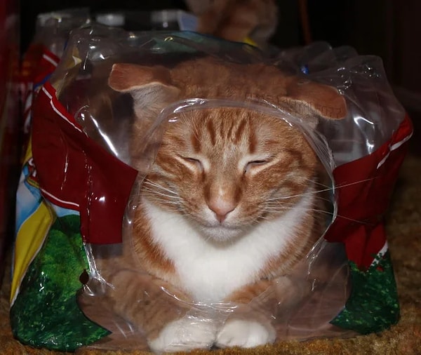 16. Главное, что его все устраивает