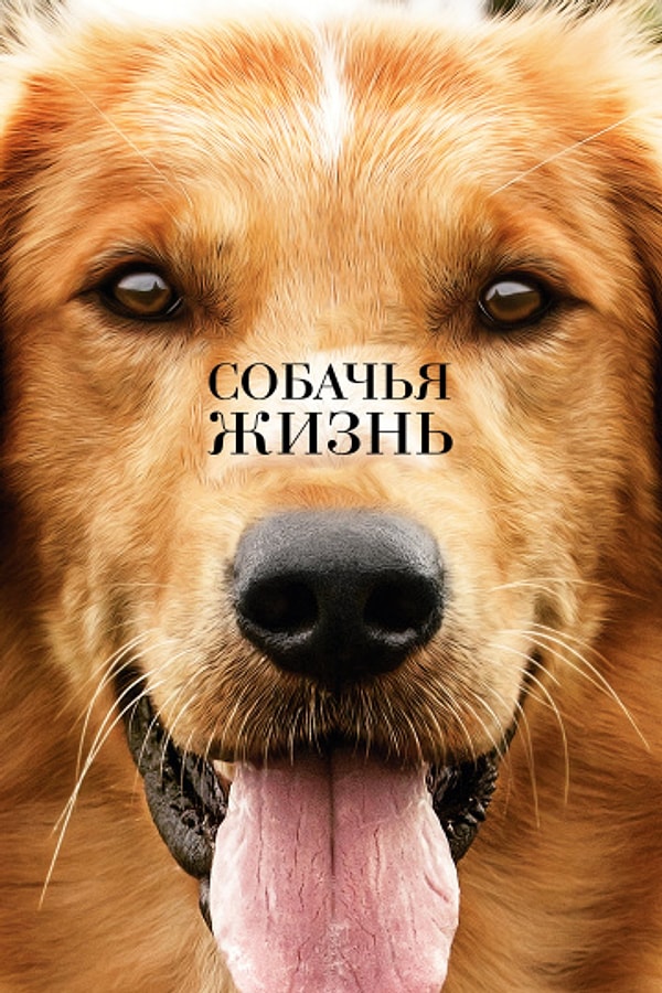 10. Собачья жизнь (A Dog's Purpose) 2017 г. / IMDb: 7.00