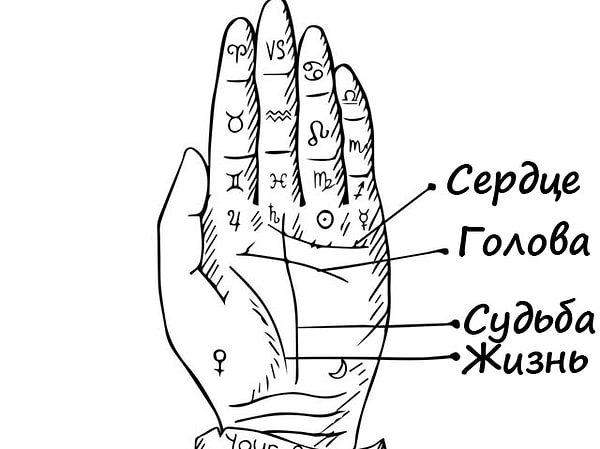 1. Найдите свою линию сердца (она начинается сбоку ладони у мизинца и заканчивается у среднего или указательного пальца)… Где она заканчивается?