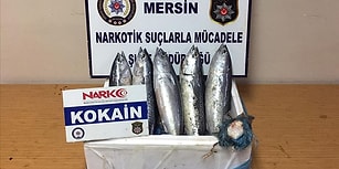 Kaçakçıların Yeni Yöntemini Narkotik Köpekleri Ortaya Çıkardı: Balık Karnına Uyuşturucu Saklamışlar