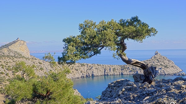 11. При каком советском руководителе Крым вошел в состав Украинской ССР?