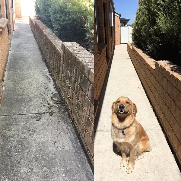 13. Никому и в голову не приходит, что все это - грязь