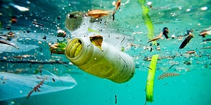2021 Yılında Yürürlüğe Girecek: AP Tek Kullanımlık Plastik Ürünleri Yasakladı