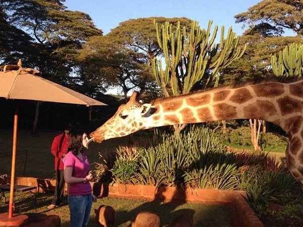 9. Когда приезжаешь в деревню, и бабушка такая... ЧМОК