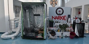 30 Bin TL'lik Düzenek: Adana'da Bir Evde Bulunan Uyuşturucu Serası Şaşkınlık Yarattı