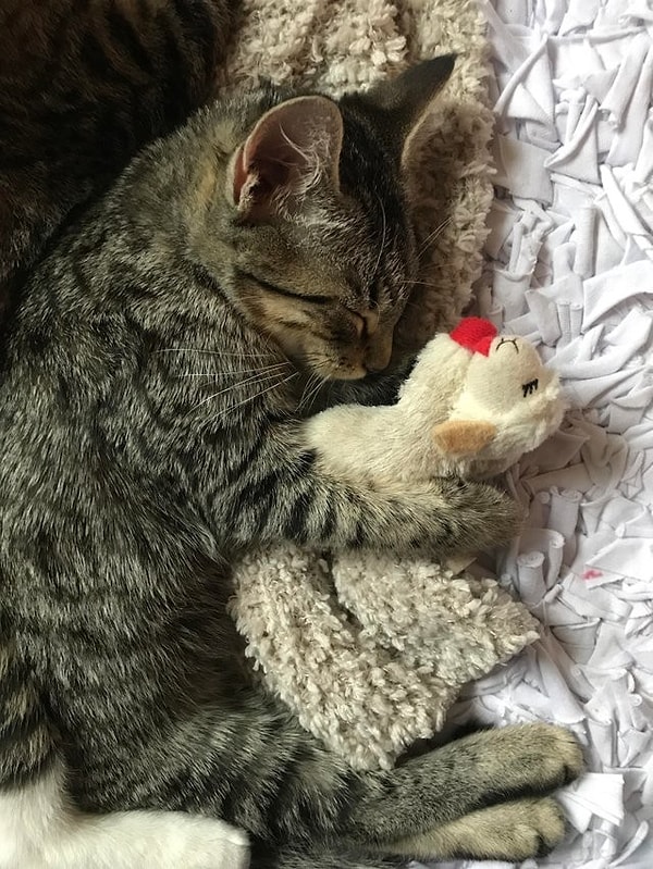 18. «Зашел в комнату и увидел такую картину. Кажется, я не заслуживаю своей девочки»