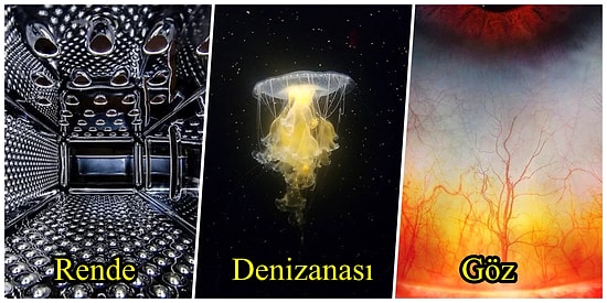 Göründüğü Gibi Olmayıp Olduğu Gibi Görünmediği İçin Beynimizi Yakan 22 Fotoğraf