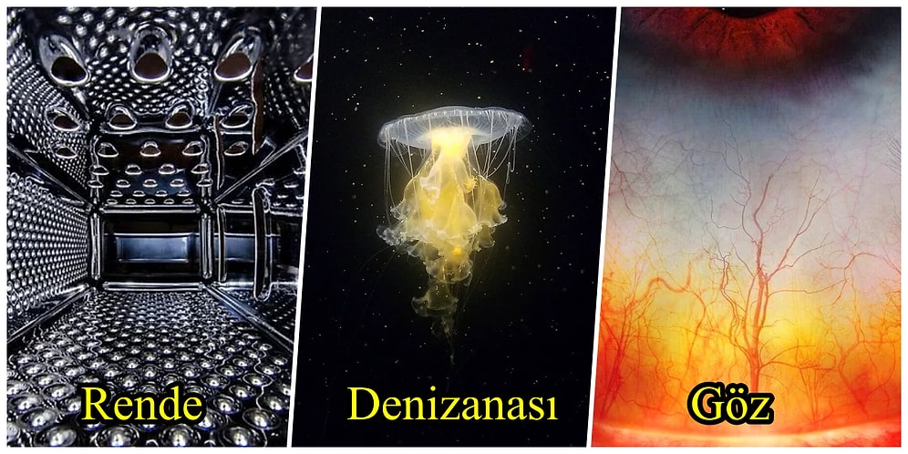 Göründüğü Gibi Olmayıp Olduğu Gibi Görünmediği İçin Beynimizi Yakan 22 Fotoğraf