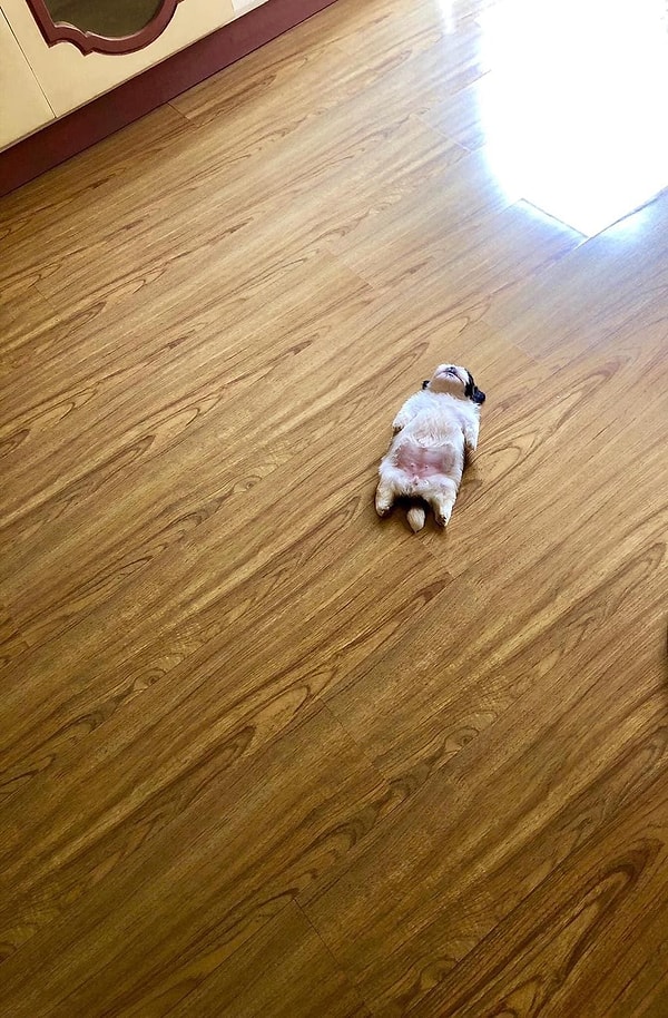 1. Все началось с этого фото, которое выложил один из пользователей Reddit