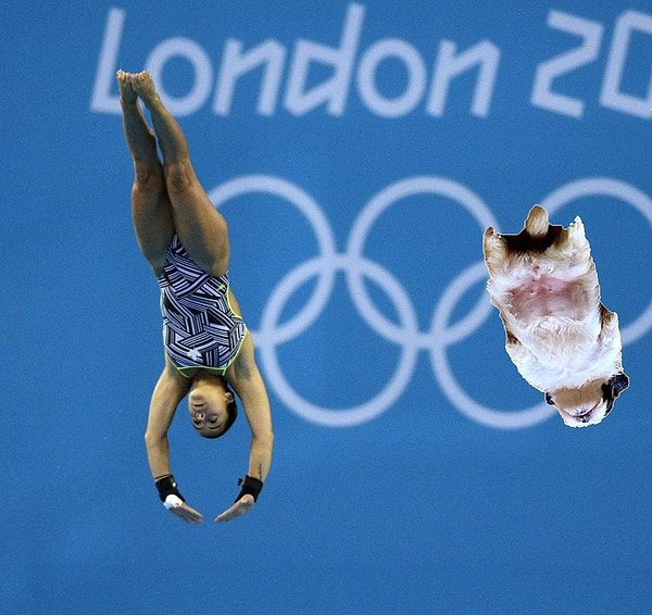 13. И выступал на Олимпиаде