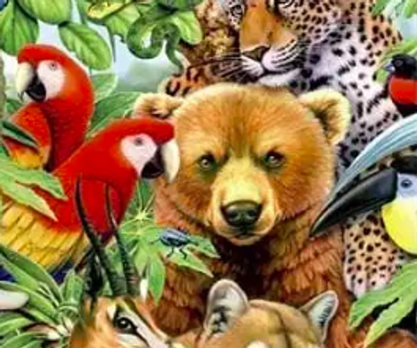 Если вы увидели медведя: