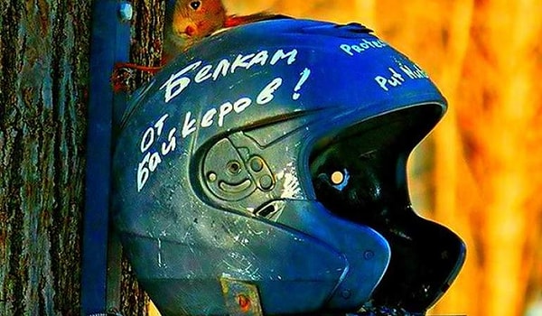 7. А чем не скворечник?