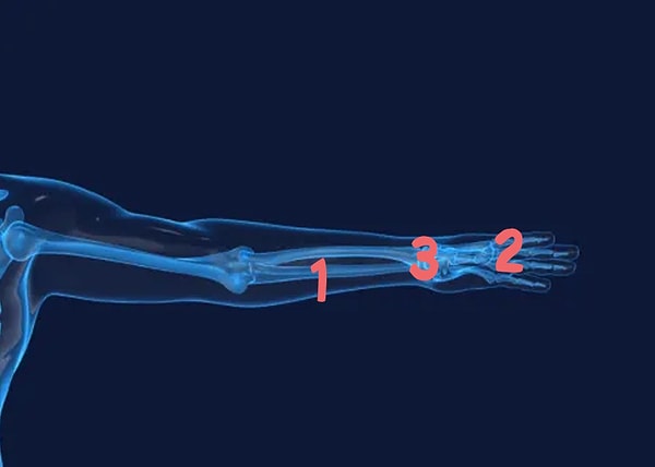 8. Что насчет запястья?