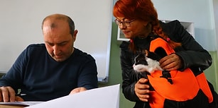 Kedisini Getiren de Var, At Sırtında Gelen de: Tüm Yurttan Seçim Manzaraları