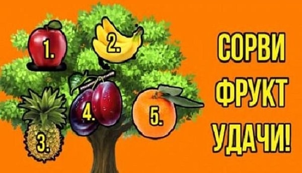 Итак, готовы получить ответ? Тогда загадайте желание и сорвите с дерева фрукт.