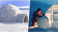 Eskimoların Zorlu Hava Şartlarına Dayanmak İçin Yaptığı Kardan Ev İglo Nasıl Erimeden Kalabiliyor?
