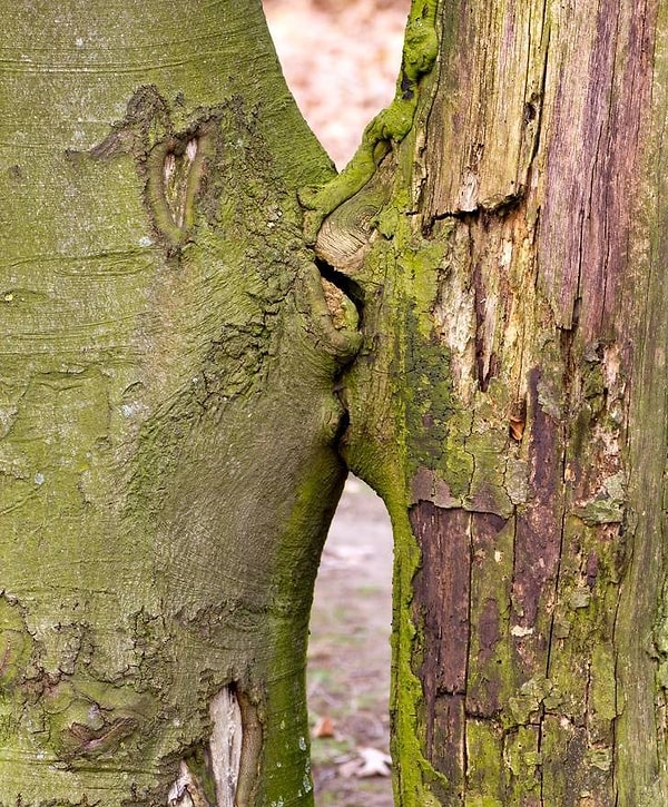 14. А что вы здесь увидели? :)