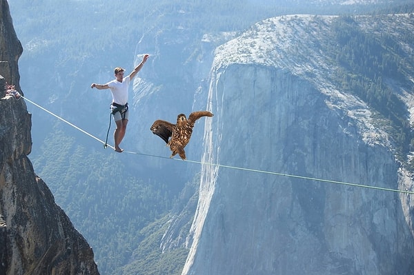 7. "Да что ты умеешь, человек?!"