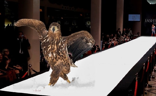 10. Легкой походкой манекенщицы...