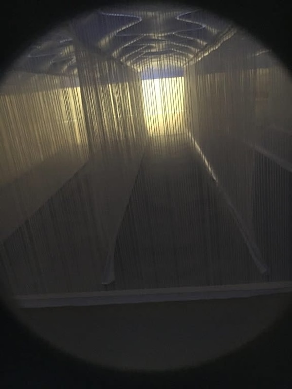 Показать правильный ответ