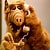 alf