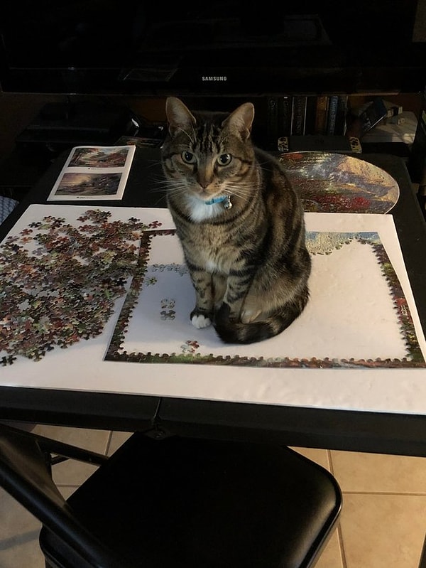 5. "Он решил, что я не должен собирать пазлы"