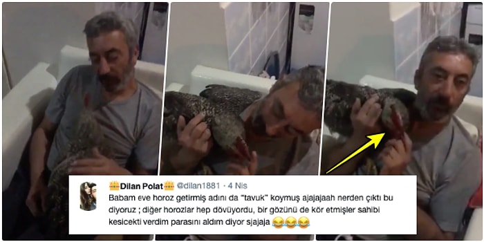 Dayak Yediği İçin Ölmek Üzere Olan Horozu Kurtaran ve Adını 'Tavuk' Koyan Güzel Yürekli Hayvansever Piro Amca!