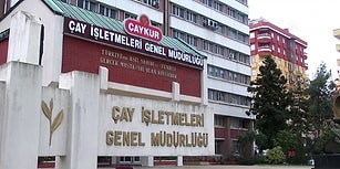 Geçen Seneyi Üçe Katladı! ÇAYKUR, 1 Yılda 657 Milyon TL Zararla Rekor Kırdı