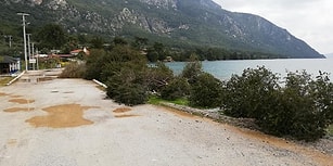 Neden Tüm Güzelliklere Düşmansınız? Muğla'nın Dünyaca Ünlü Akbük Koyu'nda Ağaç Katliamı