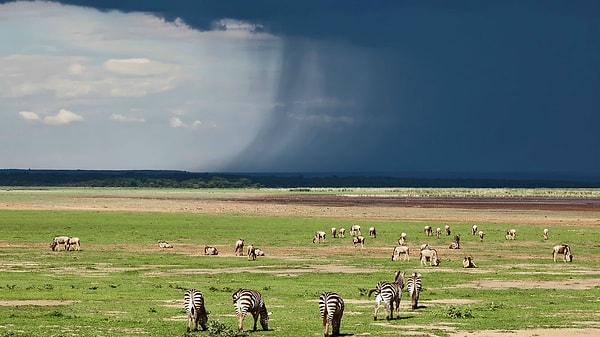 4. Что делали древние люди, чтобы вызвать дождь?
