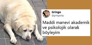 Paylaşımlarını Abarta Abarta Bizleri Bambaşka Kahkaha Deneyimleri Yaşatan 14 Kişi