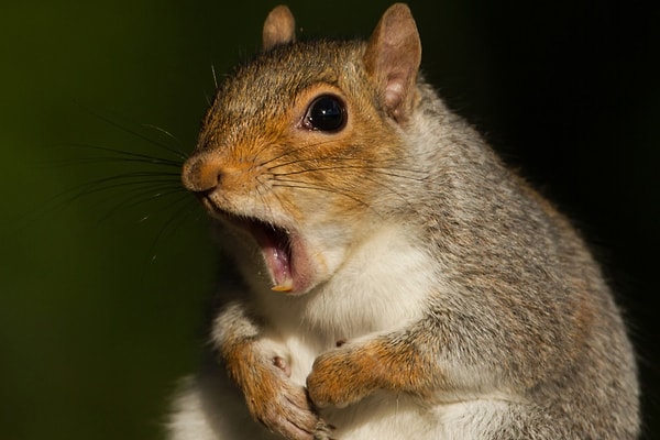 Все настолько плохо? Или вы просто были невнимательны?