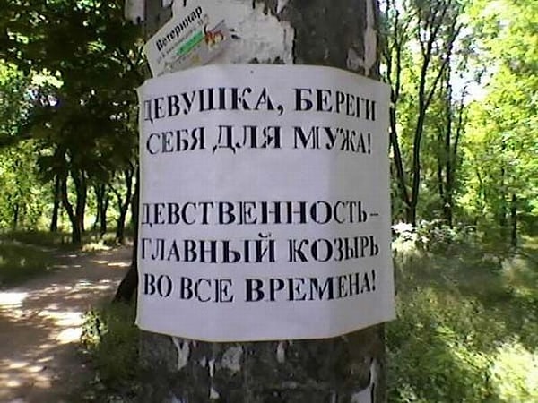 22. Вас тоже смущает тот факт, что это странное объявление висит в лесу?