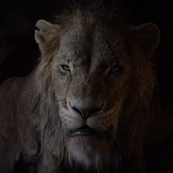 2. Начинается ролик со зловещего голоса Шрама, который рассказывает о том, как тяжела жизнь для некоторых созданий