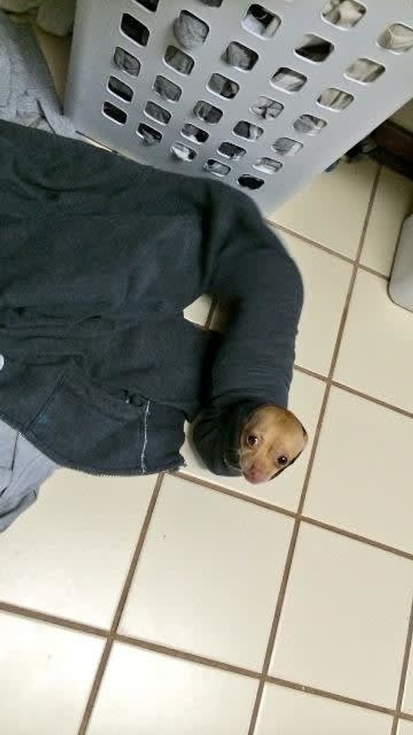 8. На помощь, есть тут кто-нибудь???