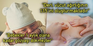 İnsan Vücudunun Ne Kadar Mucizevi Olduğunu Gösteren Aklınızı Başınızdan Alacak 21 İlginç Bilgi