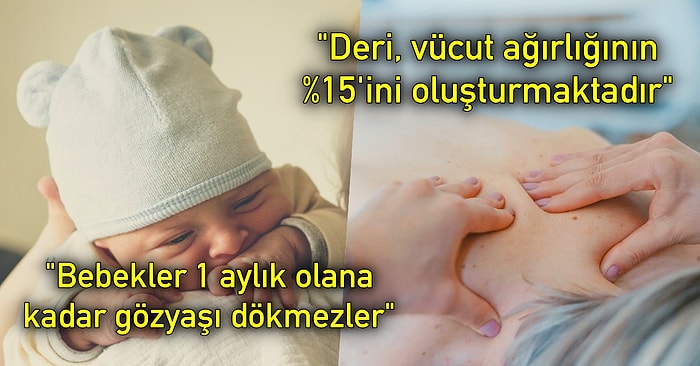 İnsan Vücudunun Ne Kadar Mucizevi Olduğunu Gösteren Aklınızı Başınızdan Alacak 21 İlginç Bilgi