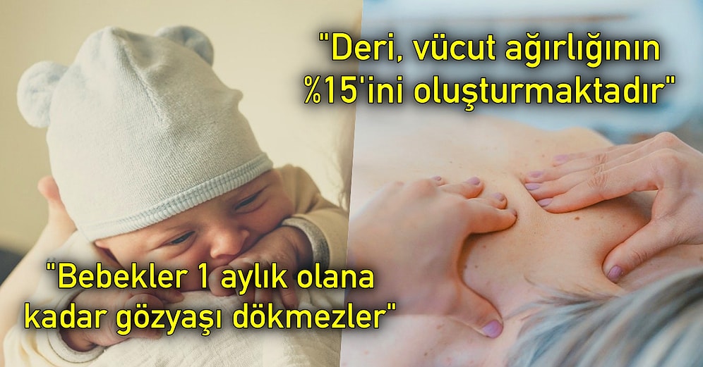 İnsan Vücudunun Ne Kadar Mucizevi Olduğunu Gösteren Aklınızı Başınızdan Alacak 21 İlginç Bilgi