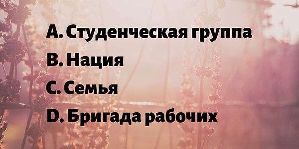 10. Какое из перечисленных образований НЕ относятся к малой группе?