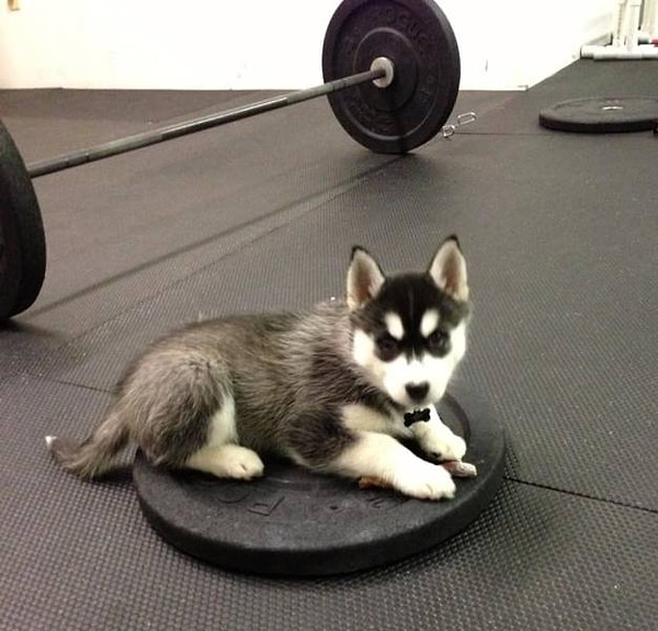 6. Этот очаровательный малыш взглядом призывает вас накинуть еще пару блинов