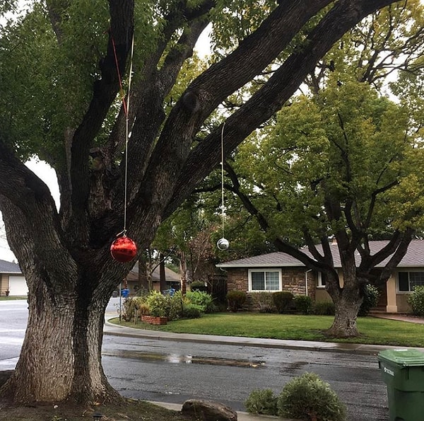 18. Говорят, счастливые часов не наблюдают. Видимо, эти соседи настолько счастливы, что не заметили, как пришло лето и рождественские украшения стали неактуальны.