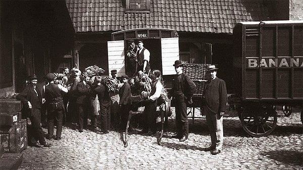 10. Norveç'deki ilk muzlar, 1905